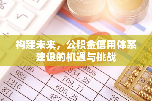 民勤构建未来，公积金信用体系建设的机遇与挑战